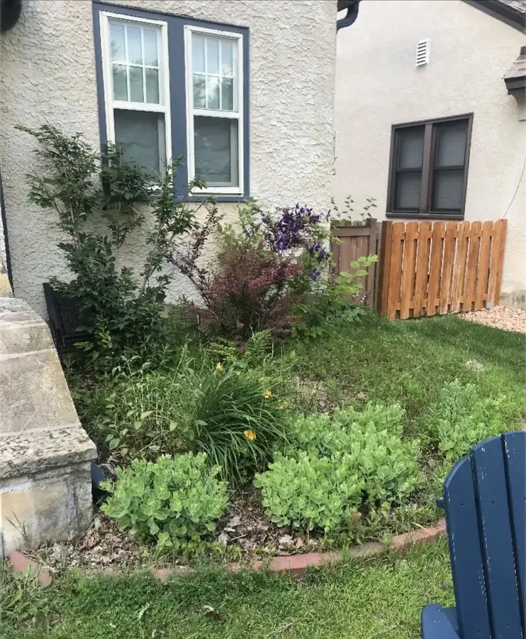 Garden beds cleaned up
